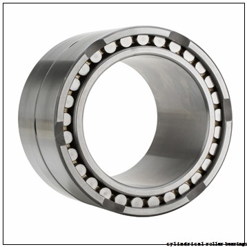 360 mm x 500 mm x 250 mm SKF BC2B 320075/VJ202 cylindrical roller bearings