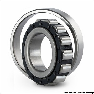 Toyana NF30/1320 cylindrical roller bearings