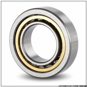 55 mm x 120 mm x 43 mm  NACHI NJ 2311 E cylindrical roller bearings