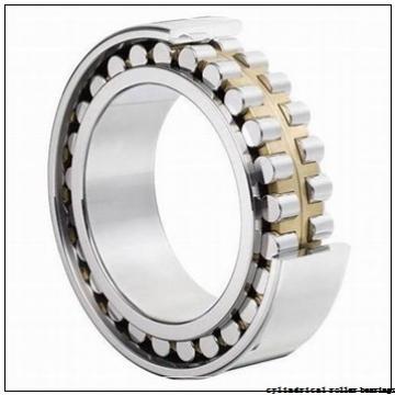 35 mm x 72 mm x 17 mm  SIGMA NU 207 cylindrical roller bearings