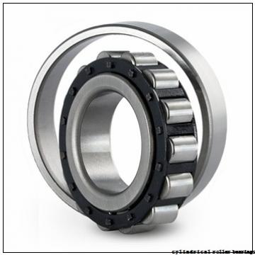 20 mm x 47 mm x 14 mm  FBJ NUP204 cylindrical roller bearings