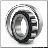 75 mm x 130 mm x 31 mm  SIGMA NJ 2215 cylindrical roller bearings